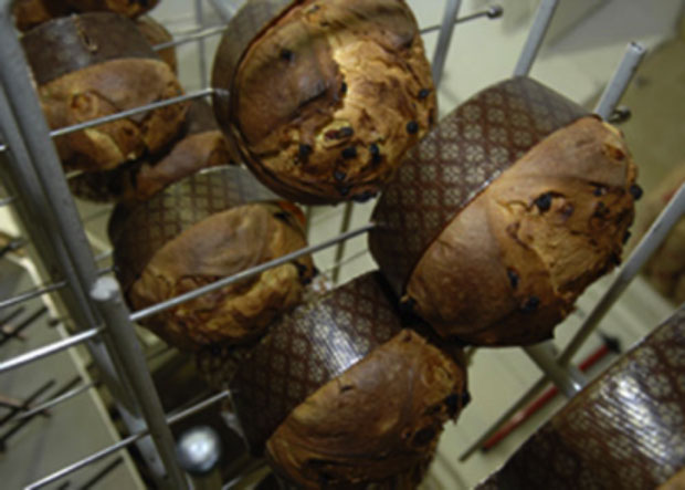 Il “Panettone tipico della tradizione artigiana milanese”: ecco chi lo produce