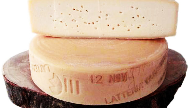 La lavorazione del formaggio Latteria