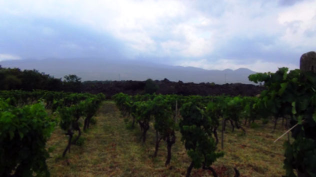 Il turismo del vino sull’Etna