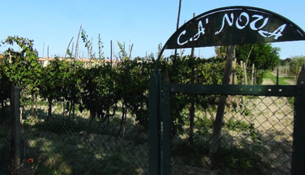 I vini delle sabbie di Ca’ Nova, nell’area di Comacchio