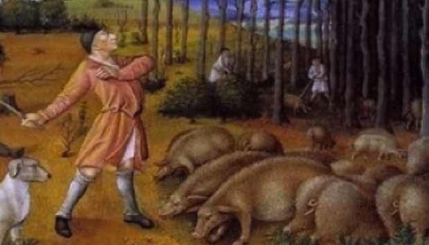 Storia e cultura attorno al maiale, compagno fedele dell’uomo