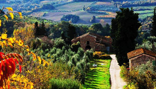 I vini archeologici di Gualandi: l’autentica Toscana da bere