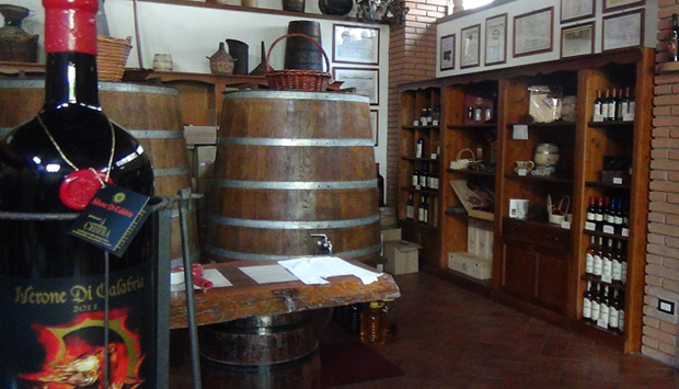 Criserà, a Catona (RC): fare vino in Calabria come gli antichi Greci