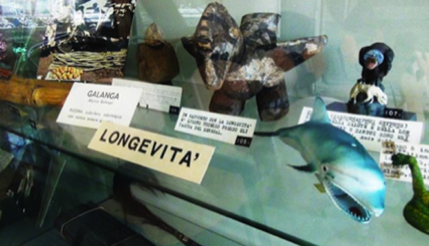 Museo di Etnomedicina a Genova: come i Popoli combattono le malattie