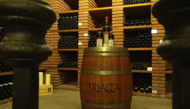 I vini della famiglia Triacca, nel cuore della Valtellina