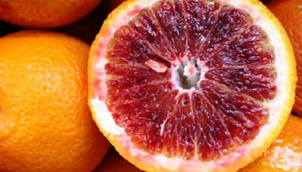 Arcifa, arance rosse biologiche siciliane buone anche per la coscienza
