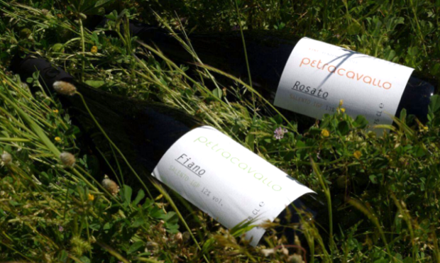 vini pugliesi biologici petracavallo 003