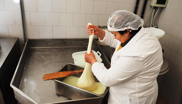Come si fa a mano la mozzarella pugliese nella Murgia Tarantina