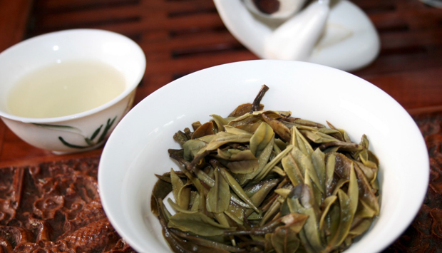 I vari tipi di tè: guida alla scelta tra sapori, ricette e benefici