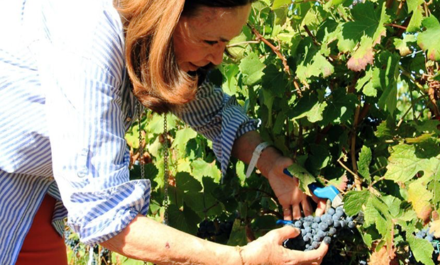 L’affascinante storia del Nebbiolo sardo di Luras, grande vino di Muscazega