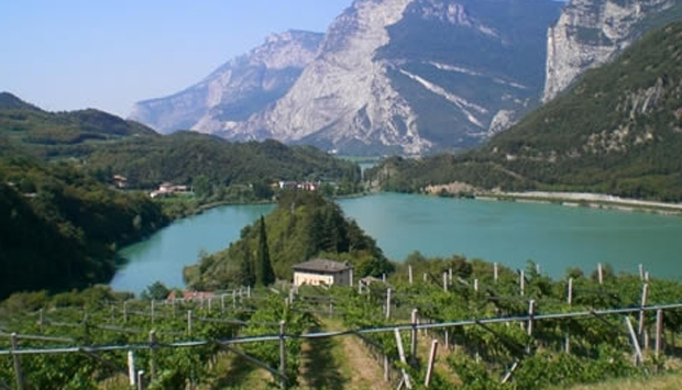 I vini biologici di confine di Francesco Poli a S. Massenza in Trentino