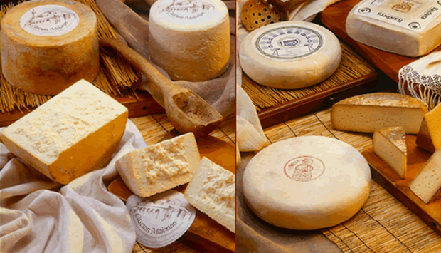 Caseificio La Bottera di Morozzo (CN), i buoni formaggi del Piemonte