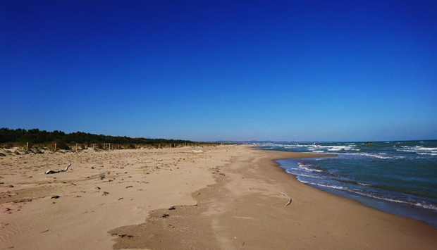 La spiaggia di Petacciato in Molise: dune, pineta e orizzonte infinito
