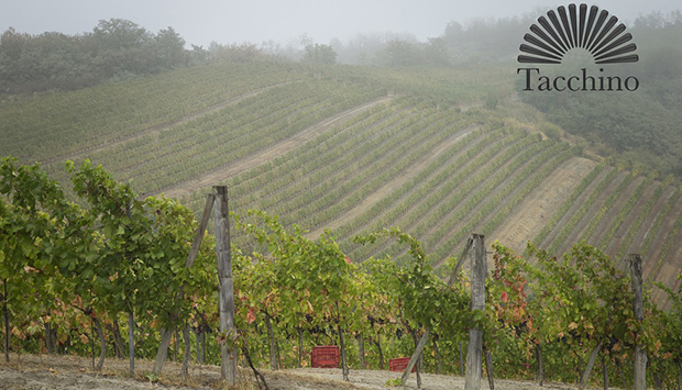 Tacchino, da generazioni vini piemontesi storici “vivi” del Monferrato