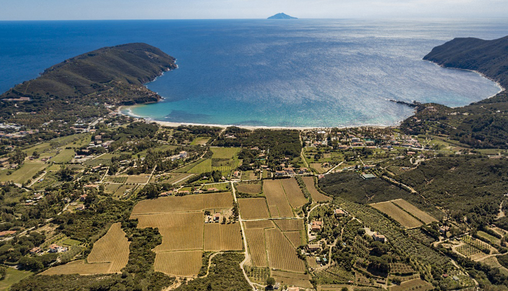 Da Chiesina di Lacona nell’arcipelago toscano, il patrimonio vinicolo dell’isola d’Elba