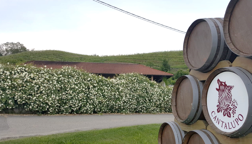 I vini di Ghemme di Antichi Vigneti di Cantalupo, dalla famiglia Arlunno attiva dal ’600 in Piemonte