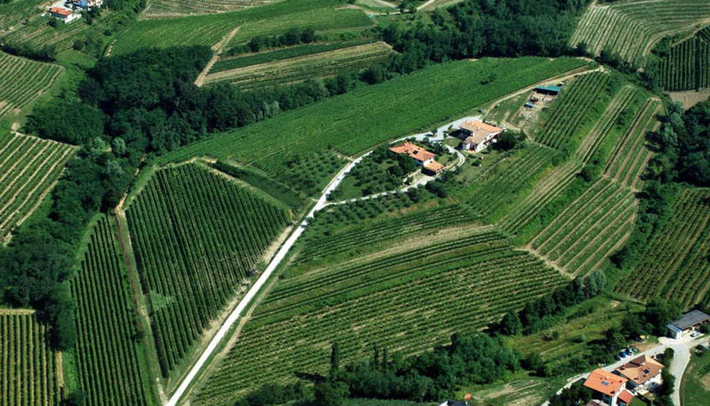 Dal cuore della provincia di Gorizia, generazioni di vini friulani della famiglia Korsič