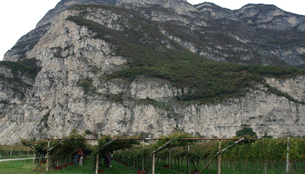 I vini territoriali di Kobler, cantina indipendente di Magrè sulla Strada del Vino in Alto Adige