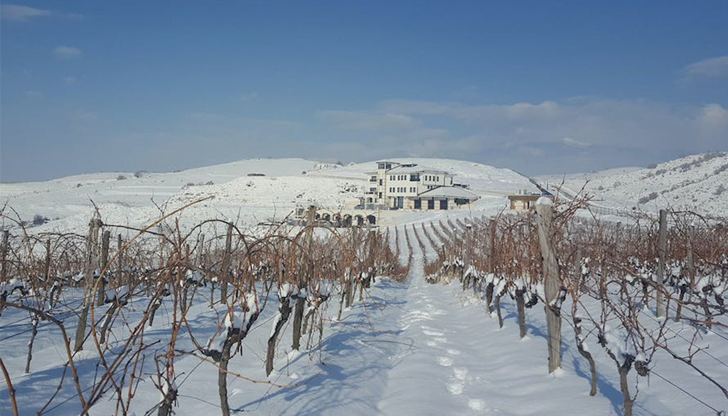 Villa Melnik, vini della Bulgaria da uve autoctone e varietà rare