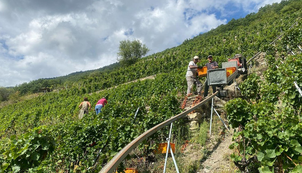 Alla scoperta dei vini del Canton Vallese della Svizzera: Gerald Besse e Pier Antoine Crettenand