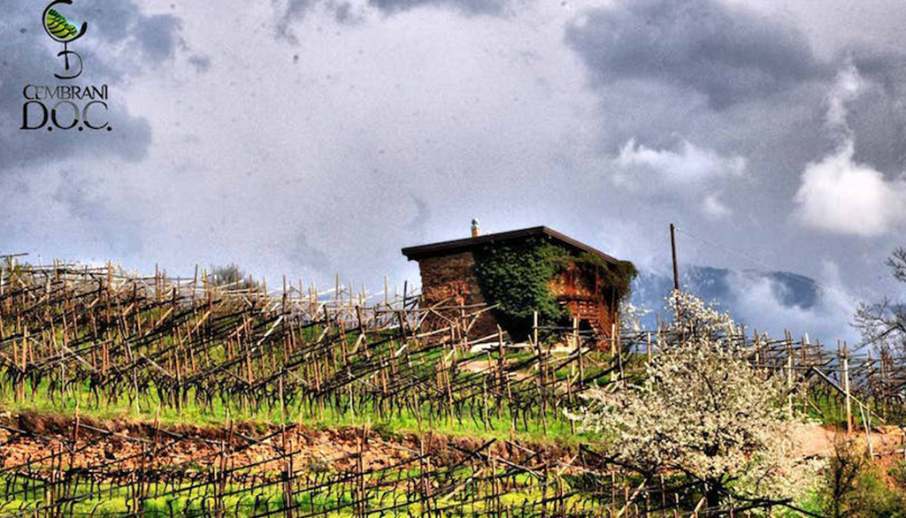 Dal Consorzio Cembrani D.O.C. i vini di montagna della stupenda Valle di Cembra in Trentino