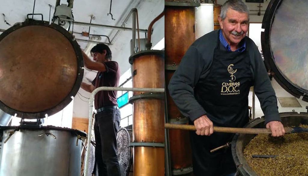 I nettari della distilleria Paolazzi Vittorio in Valle di Cembra (Trento), una storia in ogni goccia