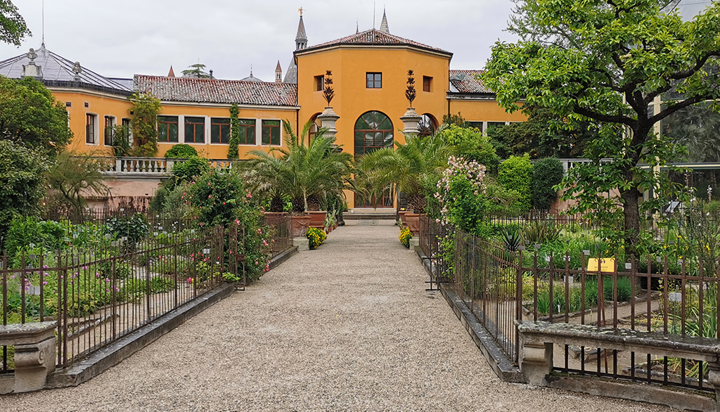A Padova dal 1545 l’Orto Botanico universitario più antico del mondo, un Patrimonio dell’Umanità