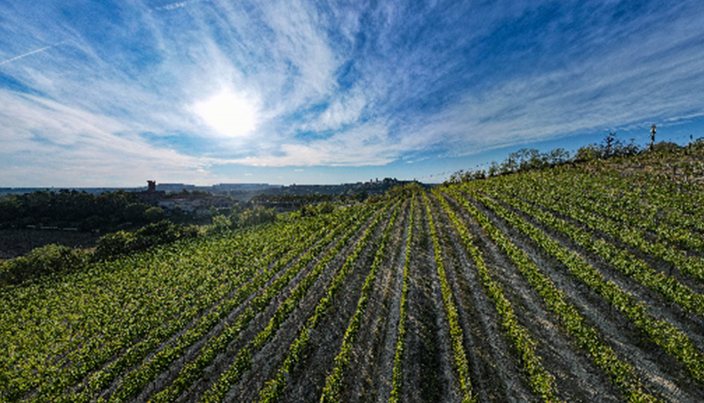 I vini di Castello di Uviglie, dalla famiglia Bonzano storia e autenticità del Monferrato Casalese