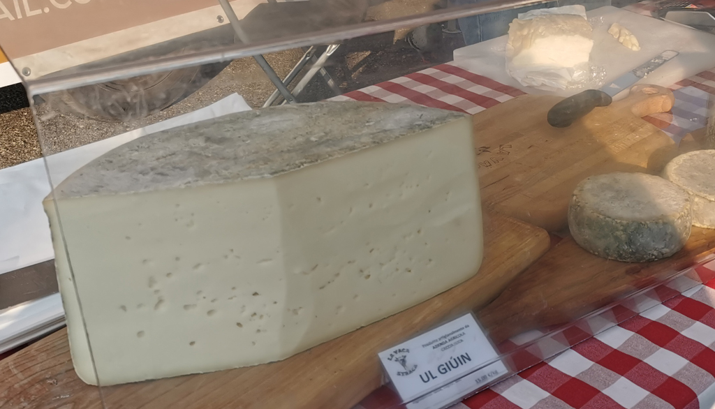 La Vaca Straca, giovane radicale produzione di formaggi a Busto Garolfo (MI)