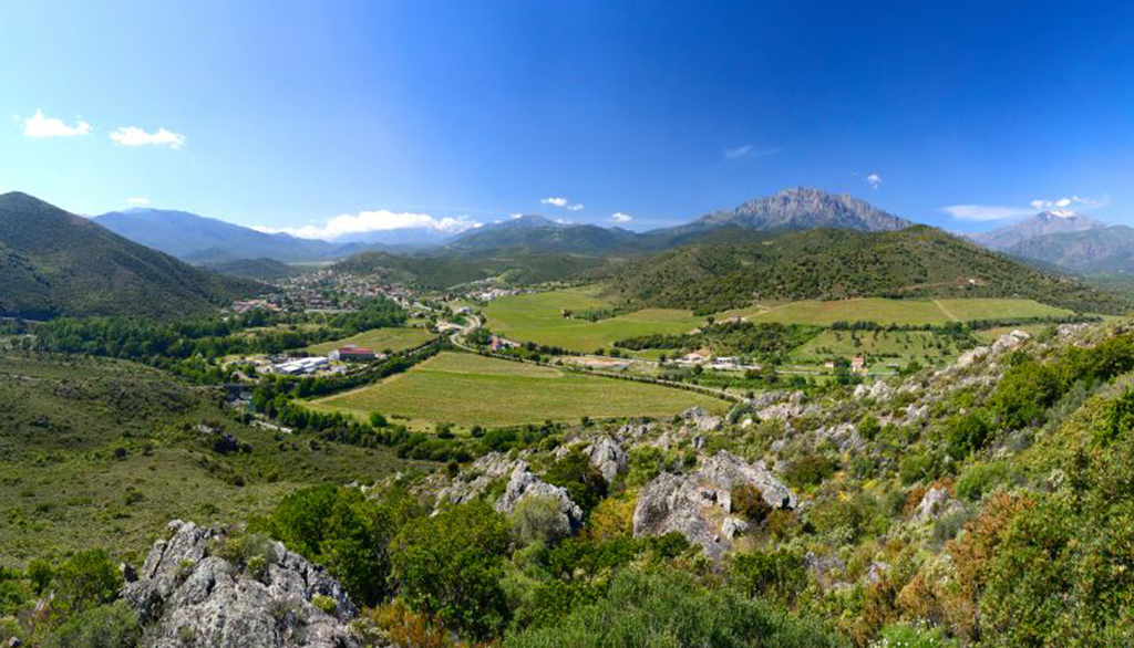 Domaine Vico, dal 1901 i sorprendenti vini della Corsica