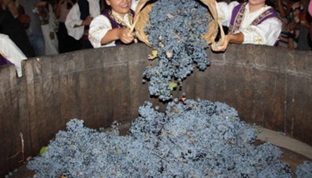 Çobo, per scoprire i grandi vini dell’Albania da una cantina familiare