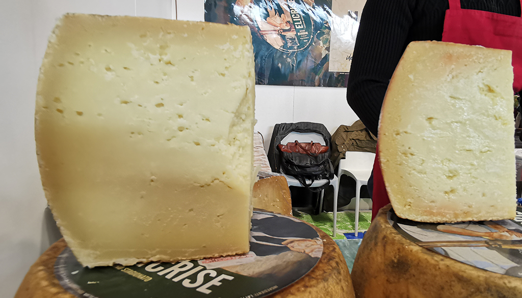 I formaggi del Caseificio Marghine dal centro della Sardegna