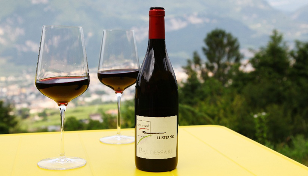 Michela Baldessari, vini dalla Collina di Trento come ode alla bellezza di un territorio