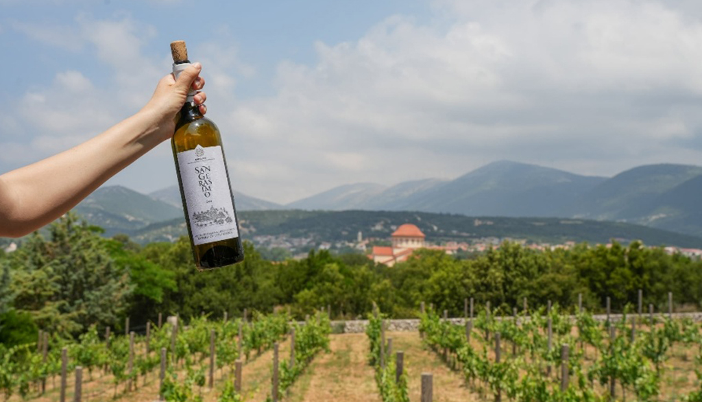 San Gerasimo della cantina greca Orealios Gaea, dalla mitica uva Robola dell’isola di Cephalonia