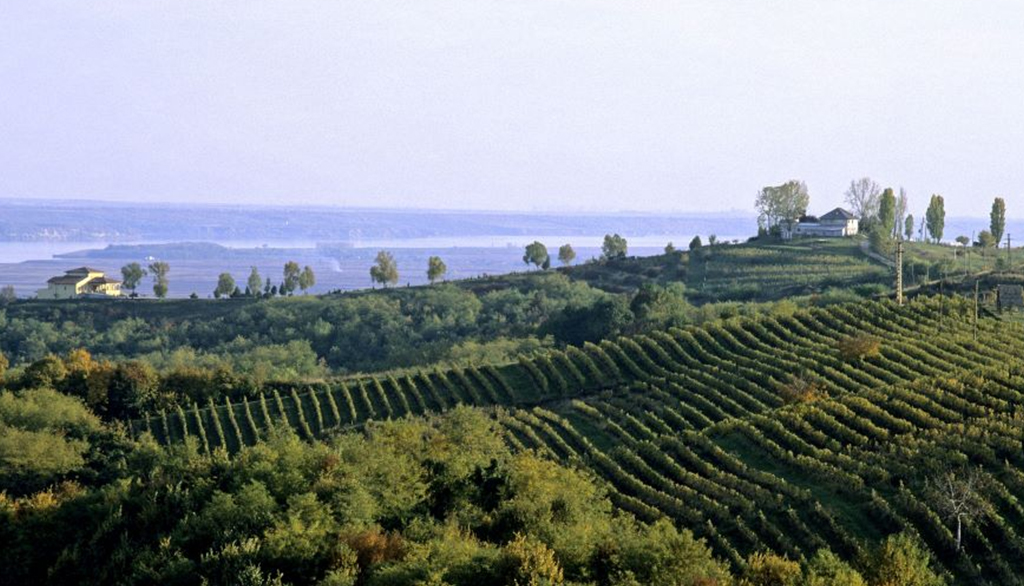 Il Circolo di Vienna, progetto speciale di Proposta Vini per viaggiare dal Danubio all’Adriatico