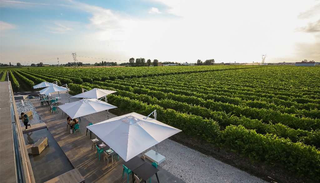 Cantina Ventiventi, bollicine biologiche modenesi tra tradizione e innovazione