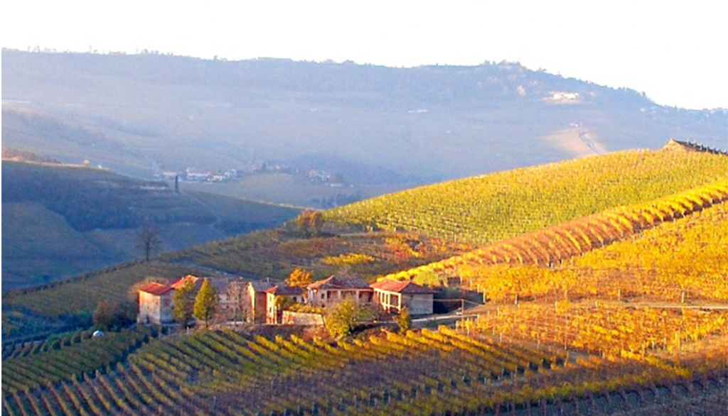 Poderi Colla, produzione secolare di vini piemontesi che narrano la storia delle Langhe