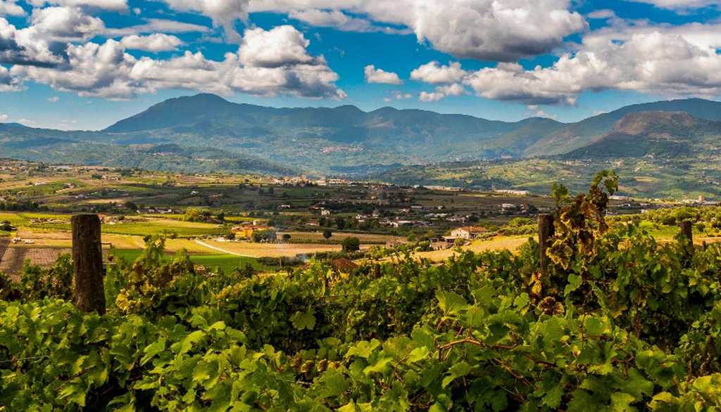 Monserrato 1973, sapori autentici del beneventano dal vino all’olio