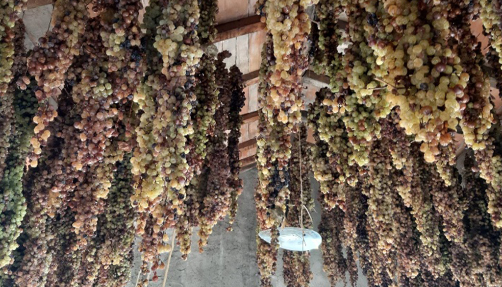 Il Vin Santo di Gambellara di Virgilio Vignato, da una tradizione secolare nel cuore del Veneto