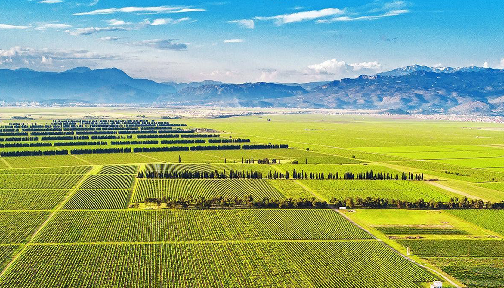 Il Brut blanc de blancs Val di Plantaže, sorprendenti bollicine del Montenegro