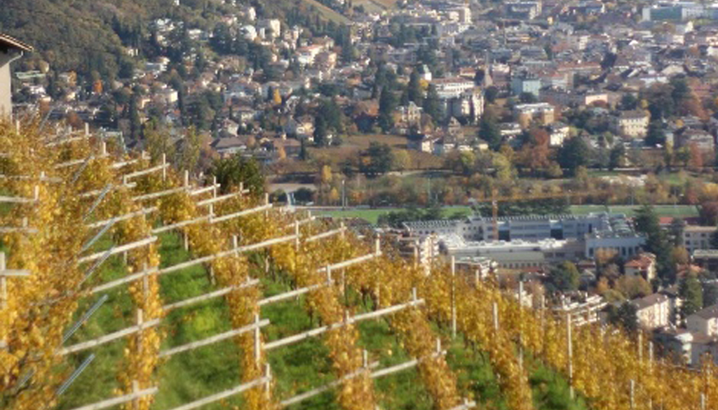 Vini di Tenuta Rottensteiner, da una delle prime famiglie di viticoltori della provincia di Bolzano