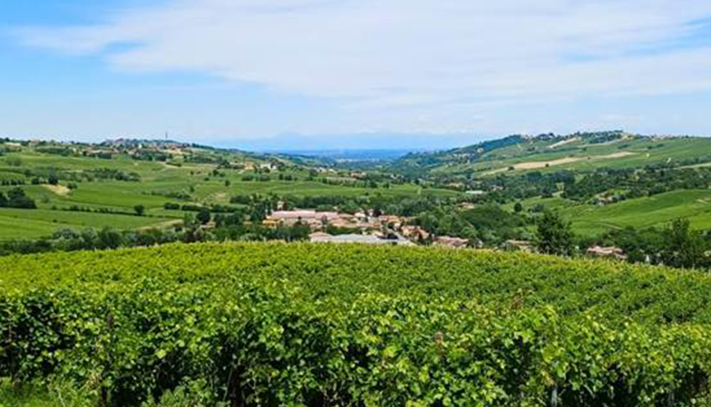 Mon Carul di Calatroni, linea dedicata ai vini dalle uve più diffuse nell’Oltrepò Pavese
