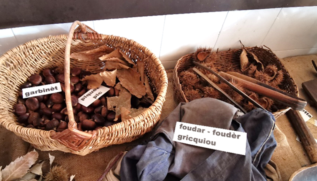 Il Museo della Castagna di Lillianes in Valle d’Aosta, tra scienza botanica e storia di una comunità